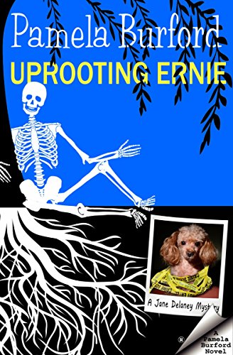 Undertaking Irene (Jane Delaney Mysteries Book 1) on Kindle