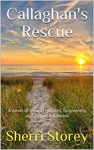Callaghan's Rescue (Tierney Logan Village Book 1) on Kindle