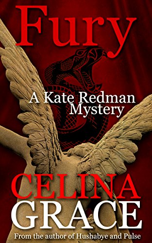 Fury (Kate Redman Mystery Series Book 11) on Kindle