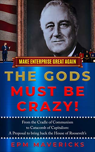 The Gods Must Be Crazy! (Make Enterprise Great Again) on Kindle