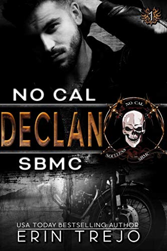 Declan: SBMC No Cal (Soulless B*stards MC No Cal Book 1) on Kindle