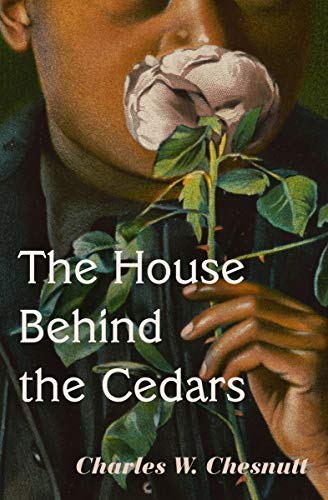 The House Behind the Cedars on Kindle