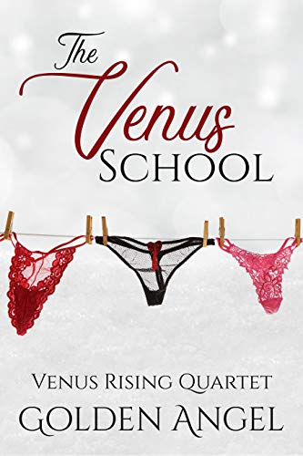 The Venus School (Venus Rising Quartet Book 1) on Kindle