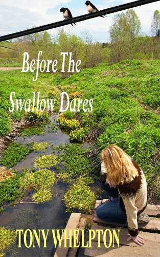 Before the Swallow Dares on Kindle