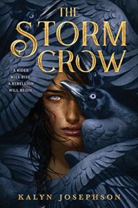 YA Fantasy Books - The Storm Crow by Kalyn Josephson