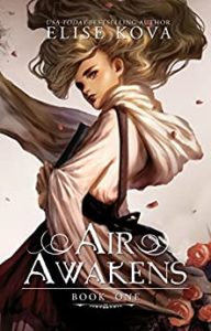 Fantasy Books for Teens - Air Awakens