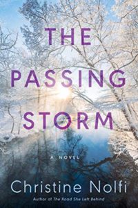 The Best Recent Literary Fiction Books - The Passing Storm by Christine Nolfi