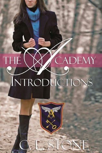 Young Adult Mystery Books - Introductions by C. L. Stone