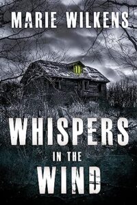Whispers in the Wind: A Small Town Riveting Kidnapping Mystery Boxset
