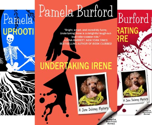 Jane Delaney Cozy Mystery Series