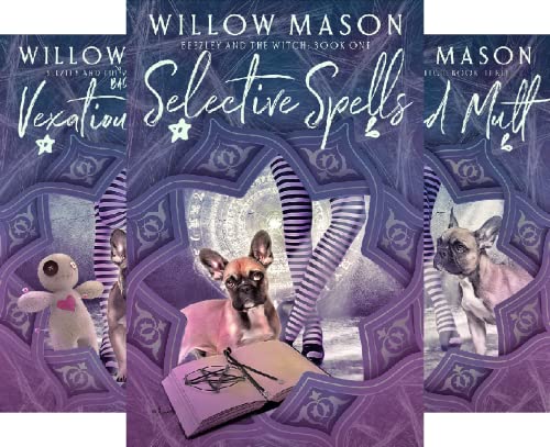 Beezley and the Witch Cozy Mystery Series