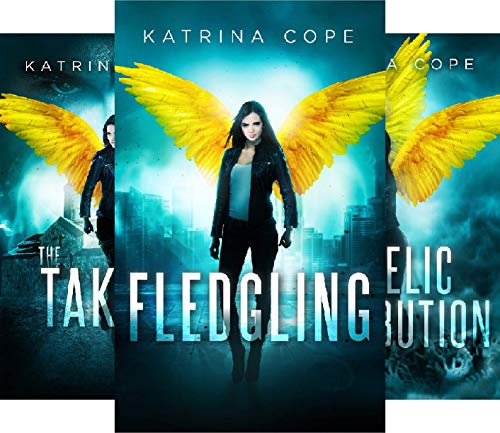 Angles and Demons Young Adult Series