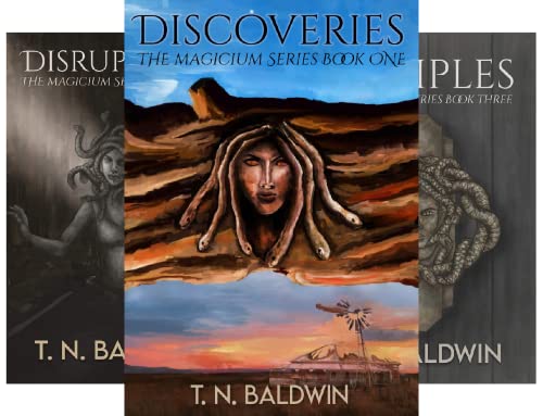 The Magicium Fantasy Series