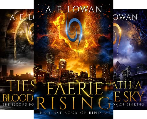 The Books of Binding Fantasy Series
