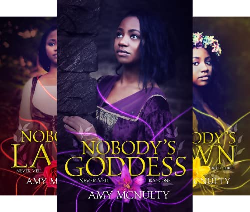 The Never Veil Young Adult Series