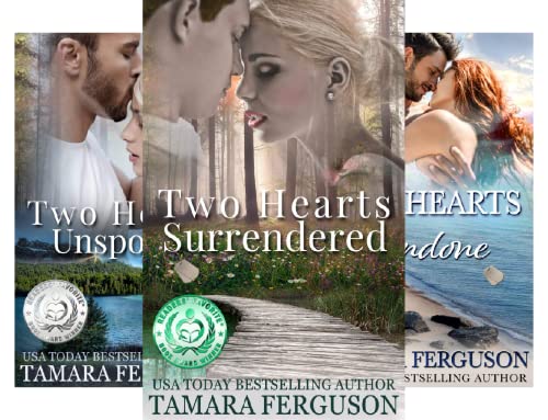 Two Hearts Wounded Warrior Romance Series