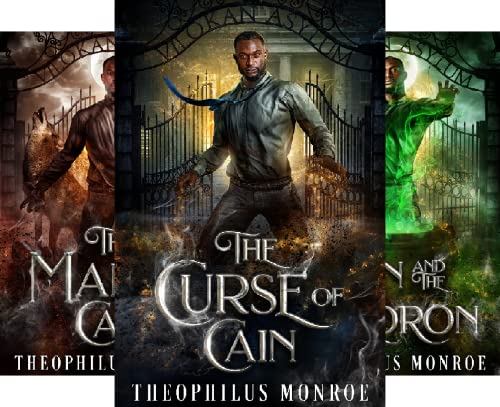 The Vilokan Asylum of the Magically and Mentally Deranged Fantasy Series