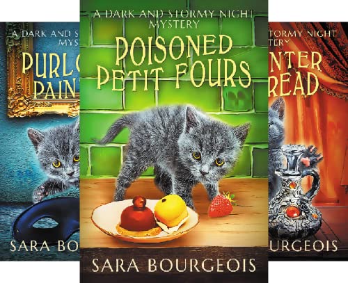 A Dark And Stormy Night Cozy Mystery Series