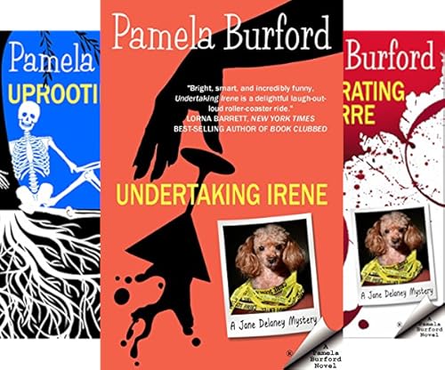 Jane Delaney Mystery Series