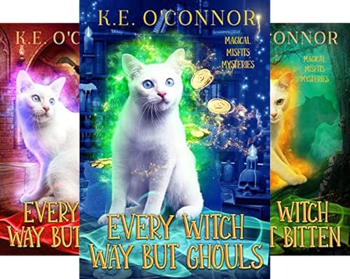 Magical Misfits Cozy Mystery Series