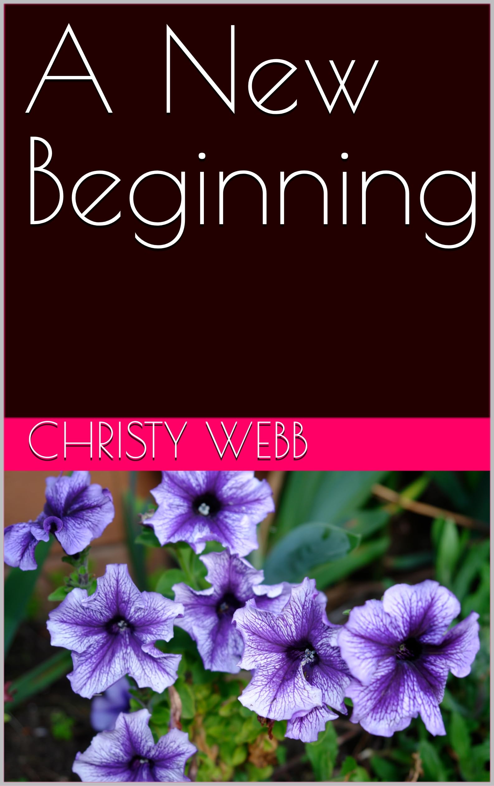 A New Beginning: A Free Women's Fiction eBook