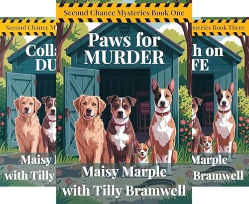 Second Chance Cozy Mystery Series