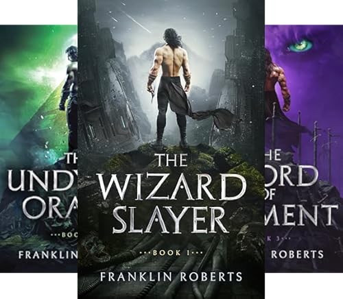 The Wizard Slayer Fantasy Series