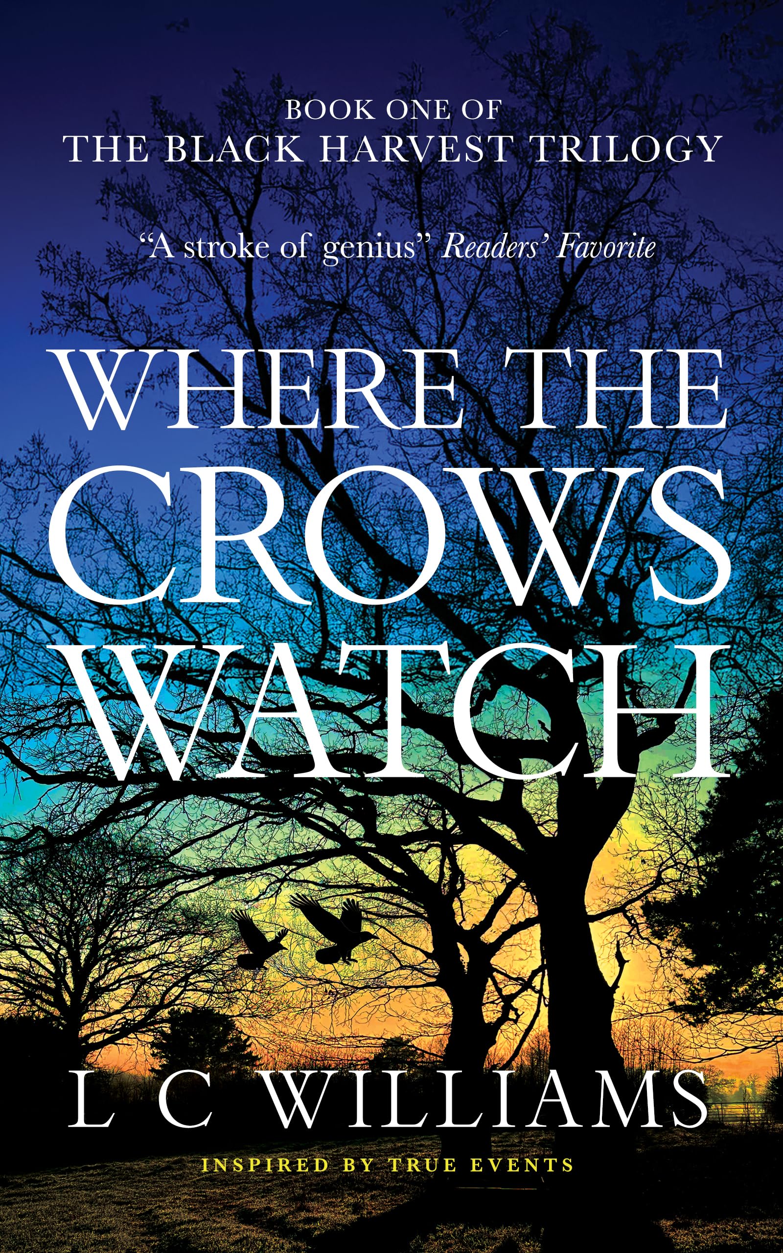Generational Decisions, Unconventional Friendships, and Summer Transformations: Free Literary Fiction eBooks