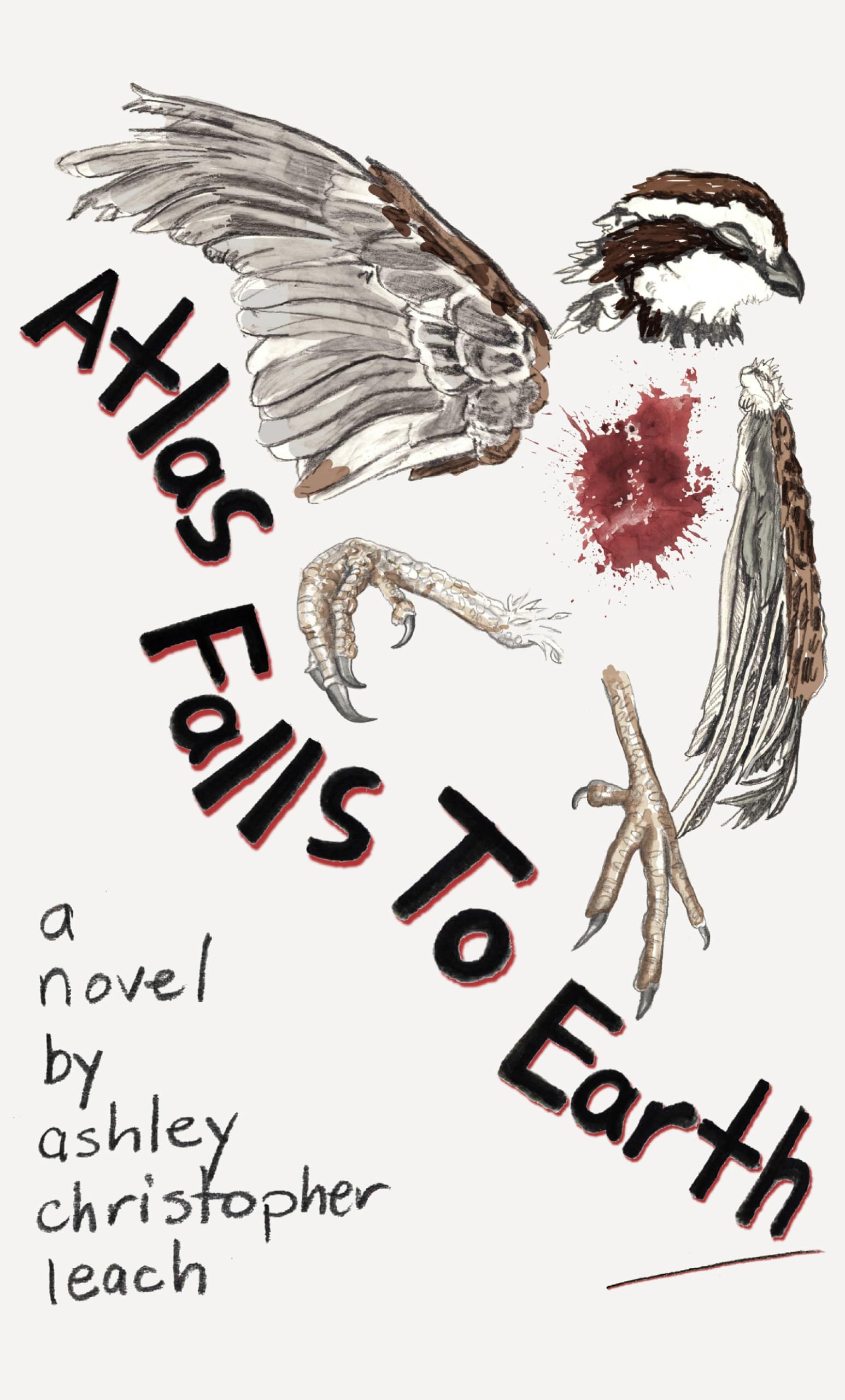 Unstable Minds, Hidden Obsessions, and Buried Suffering: Free Literary Fiction eBooks