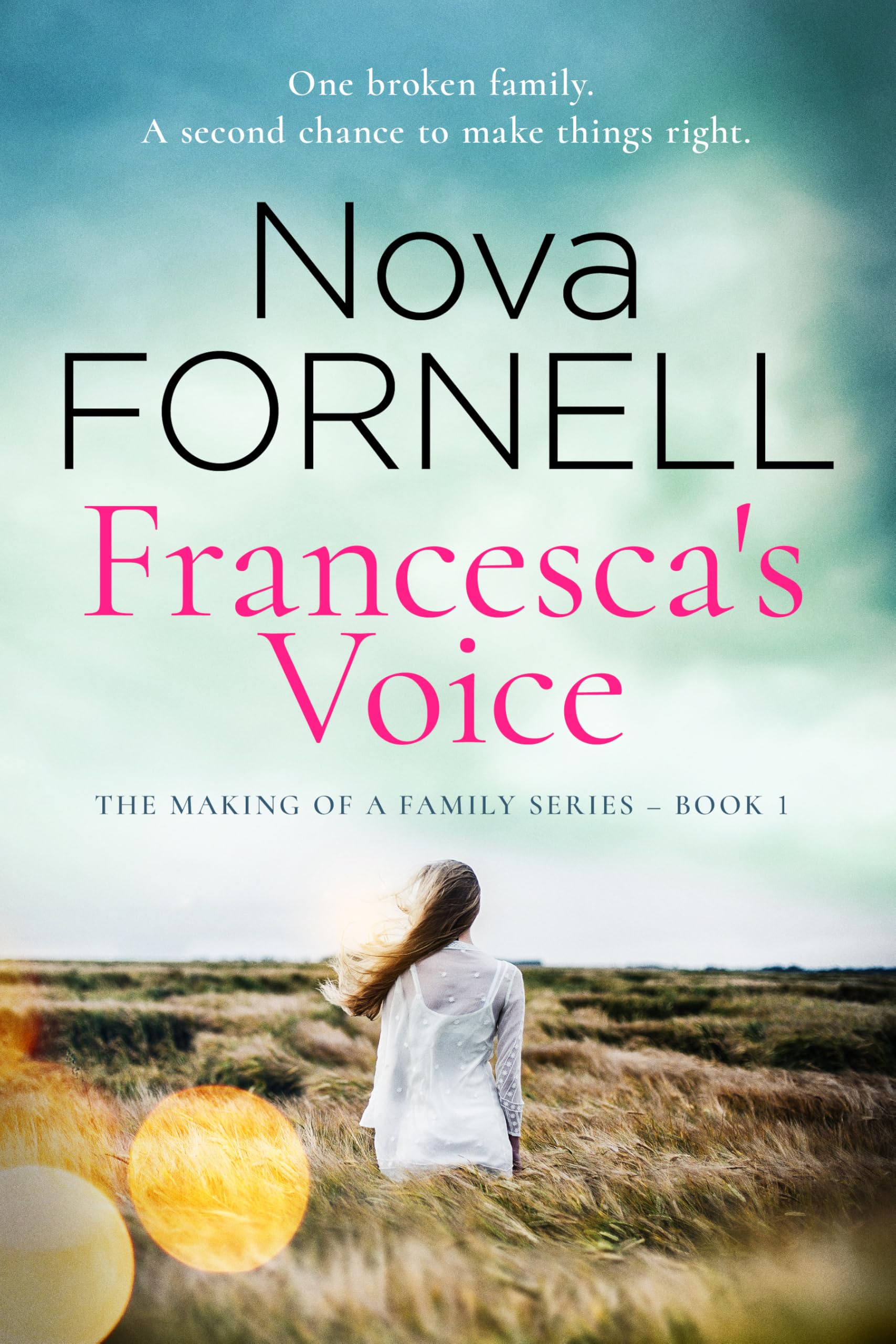 Coastal Towns, Family Battles, and Past Lives: Free Literary Fiction eBooks