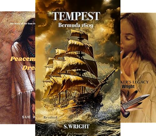 The New World Historical Fiction Series