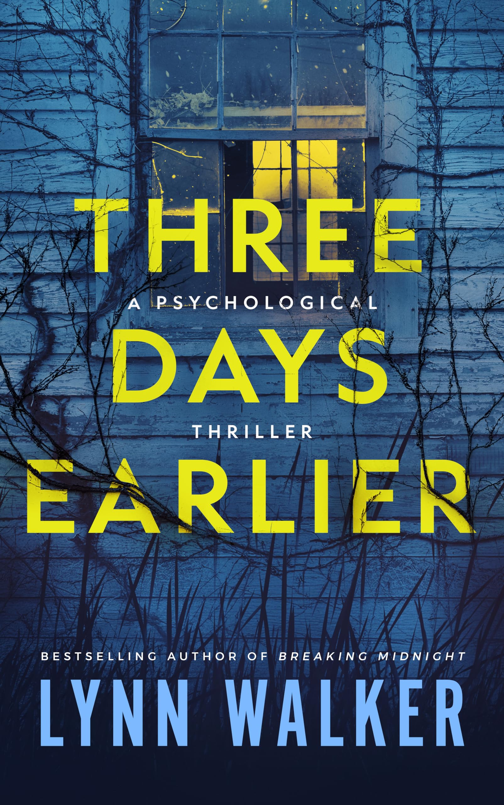 Haunting Visions, Political Snares, and Foreign Intrigue: Free Mystery / Thriller eBooks