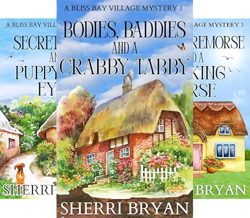 The Bliss Bay Village Mystery Series