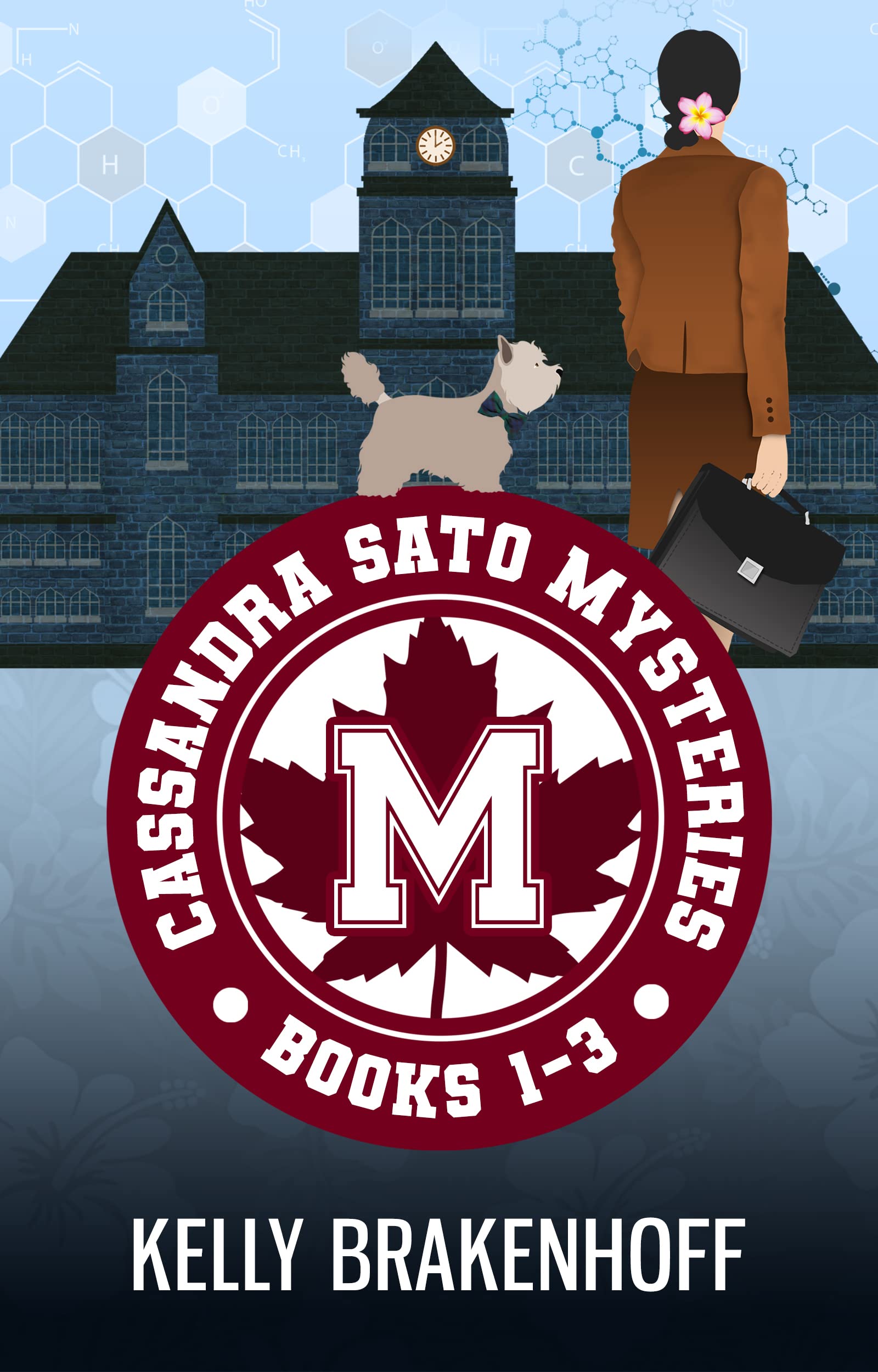 Village Coven, Suspicious Hard Drives, and Vanishing Women: Free Mystery / Thriller eBooks