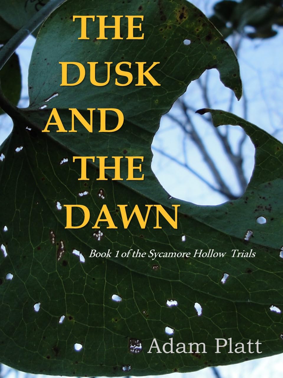 Tower Trials, Chaotic Law, and Vanished Cities: Free Fantasy and Science Fiction eBooks