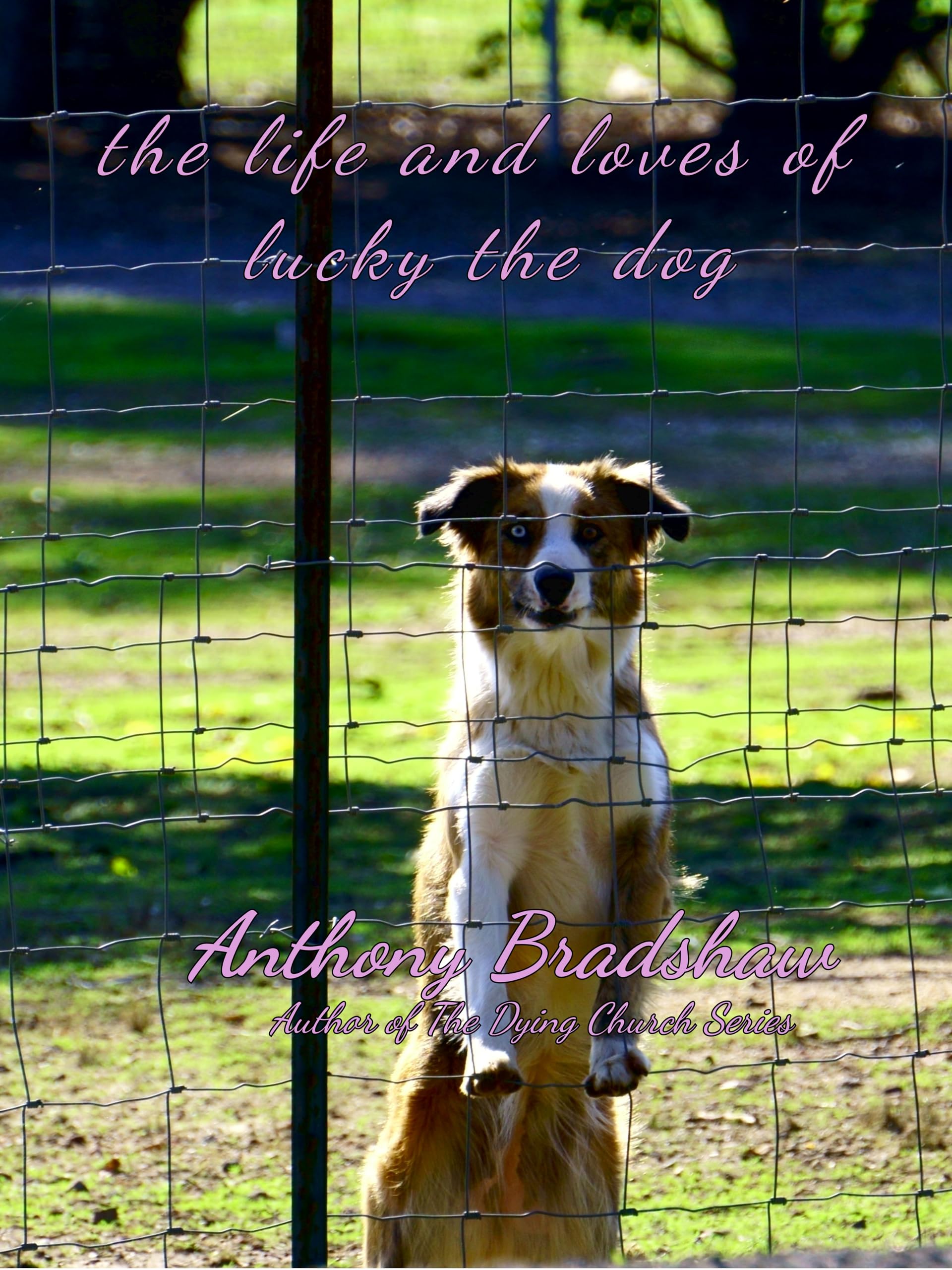 The Life and Loves of Lucky the Dog: A Free Literary Fiction eBook