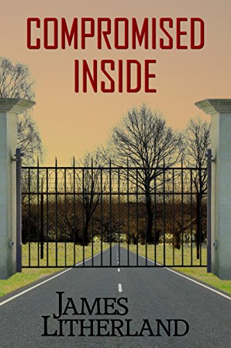 Critical Contingencies (Slowpocalypse Book 1) on Kindle