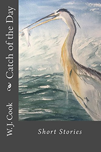 Catch of the Day on Kindle