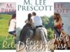 Morgan’s Run Romance Series