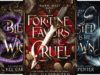 Dark Maji Fantasy Series