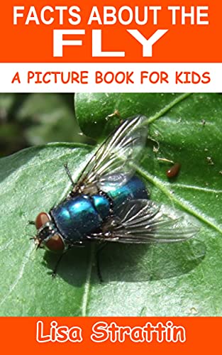 Hilarious Jokes and Fly Facts: Free Children’s eBooks