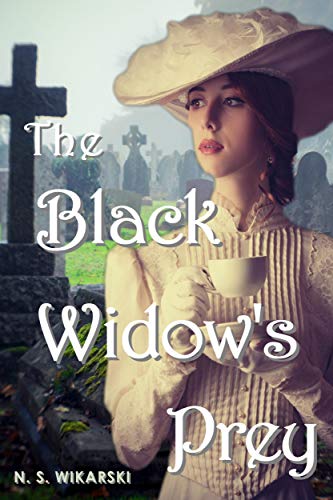 Gilded Age Chicago Mystery Series