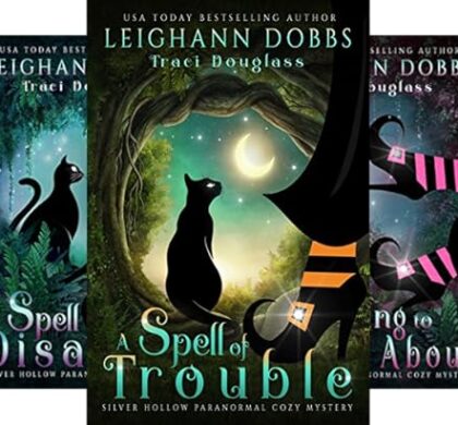 Silver Hollow Paranormal Cozy Mystery Series