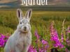 Changing Plans and Discovering Truths: Free Mystery eBooks