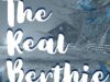 Stormer’s Pass and The Real Berthie: Free Literary Fiction eBooks