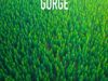 The Sandman, Dark Petition, and Gorge: Free Horror eBooks
