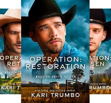 Wayside Ranch Romantic Suspense Series