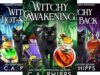 Midlife Potions Cozy Mystery Series