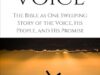 The Voice: Free Christian Fiction eBook