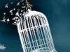 The Girl in the Rusted Cage: Free Women’s Fiction eBook